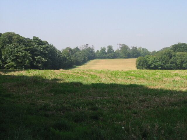 Poutty Woods from the Sandwich Road