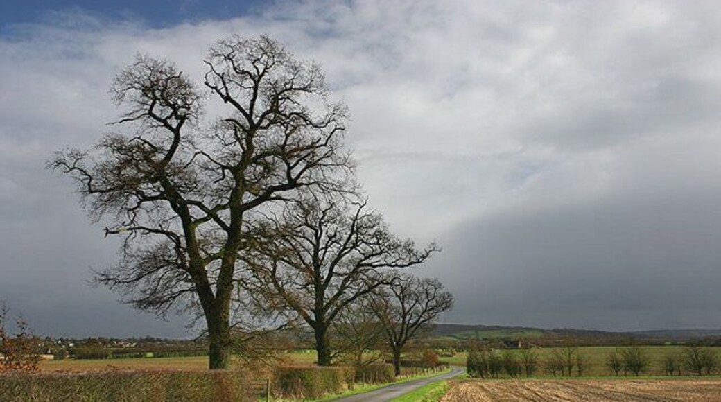 The road to Twelve Acre Farm The road to Twelve Acre Farm, with Wytham Hill in the distance.