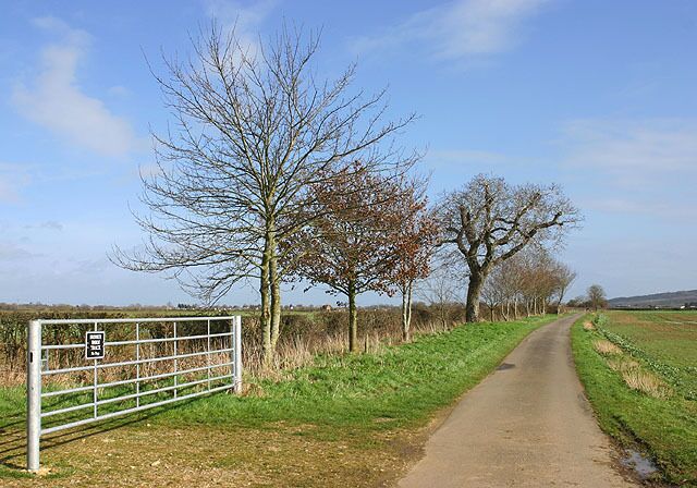 Eynsham, Chilbridge Road Looking east along Chilbridge Road, from near Lower Farm.