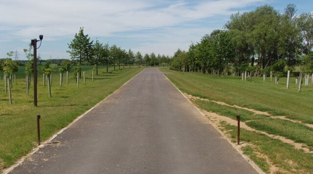Drive to Foxley Farm The driveway had a closed gate, with a CCTV camera surveying it. The two posts either side of the track are an automatic gate opener. Newly planted trees are either side of the drive.