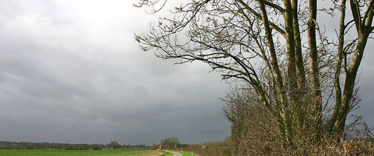 A rural road flanked by fields and trees under a cloudy sky.