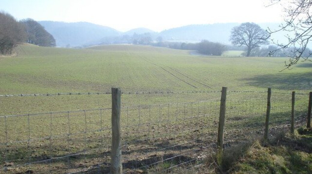 Farmland at Barland From Offa's Dyke Path looking eastwards to the wooded hills south of Presteigne.