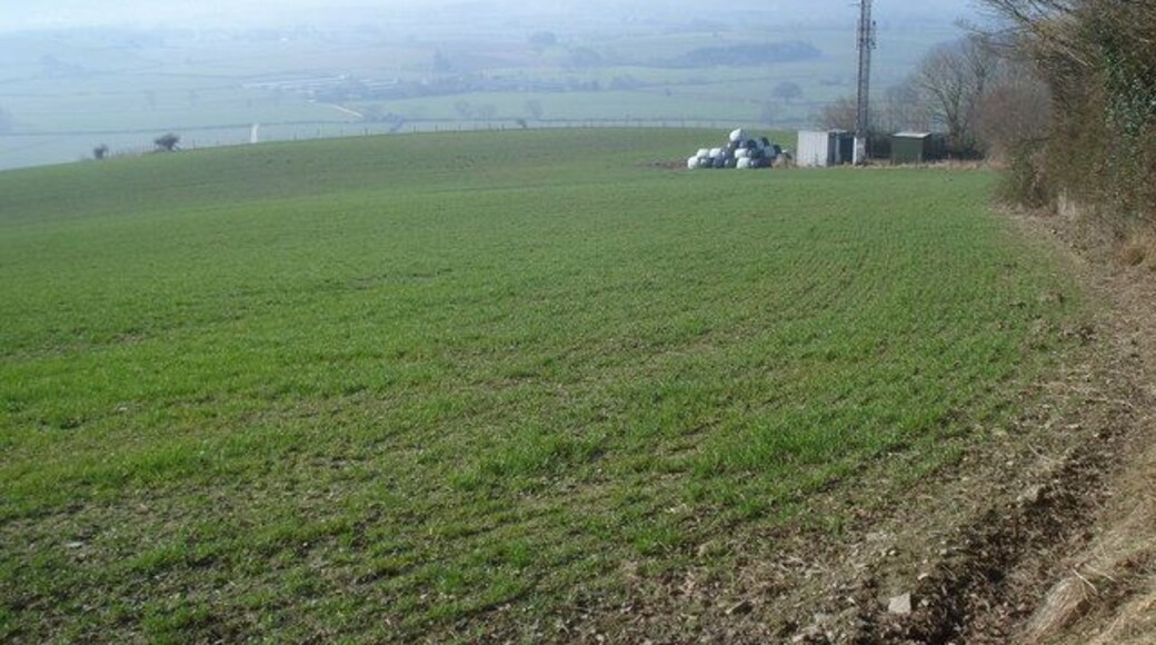 Telecommunications mast near Evenjobb From the Offa's Dyke Path looking south-west across the Walton Basin. Another view spoilt by such equipment. If they had to have one here, why not put a 'false tree' in the woodland just the other side of the lane. In the future, this view could get even worse if planning permission goes ahead for wind turbines on the hills south of New Radnor in the distance.