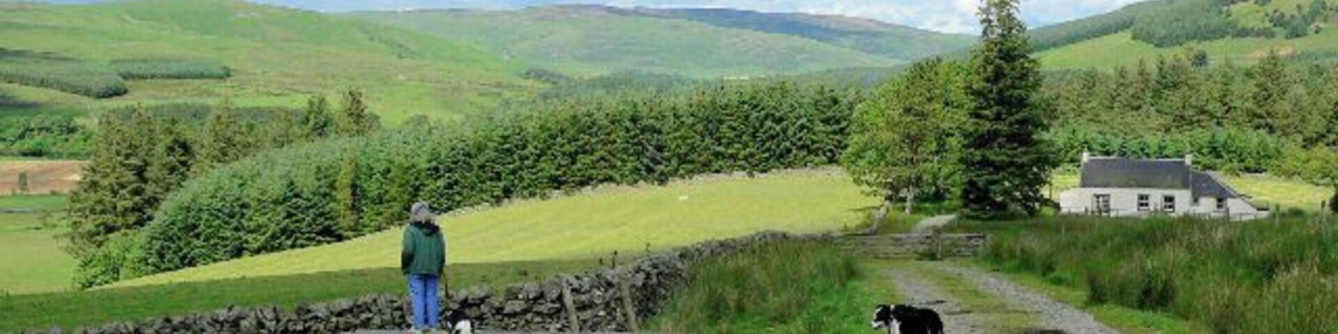 Farm track above Old Hyndhope