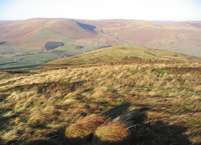 Mossbrae Height Looking towards Ark Law. The prominent hill to the left in the distance is Gilmanscleuch Law.