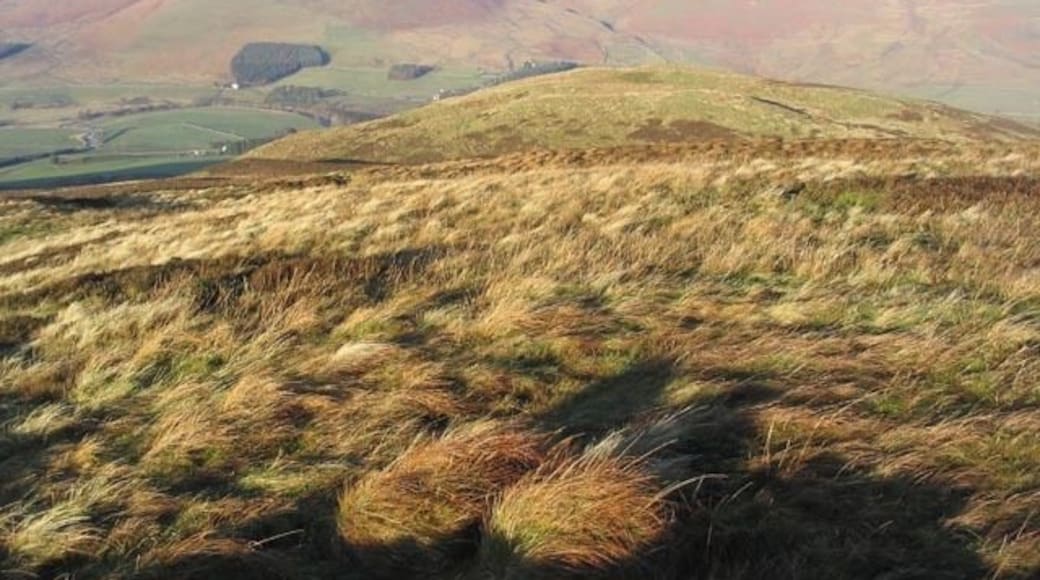 Mossbrae Height Looking towards Ark Law. The prominent hill to the left in the distance is Gilmanscleuch Law.