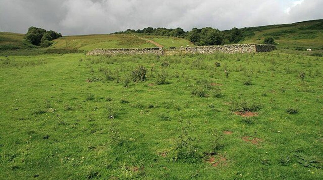 A sheepfold near Hawkshaw Burn Located between Nether Hill and Newhouse Kip by a track from Hawkshaw.