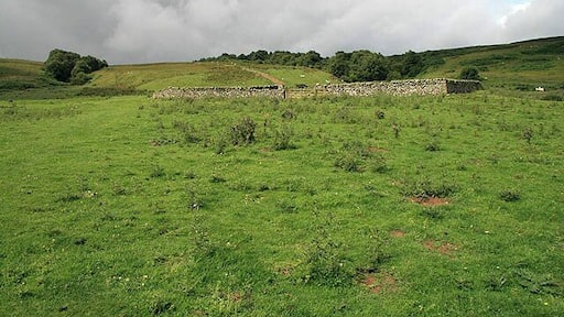 A sheepfold near Hawkshaw Burn Located between Nether Hill and Newhouse Kip by a track from Hawkshaw.