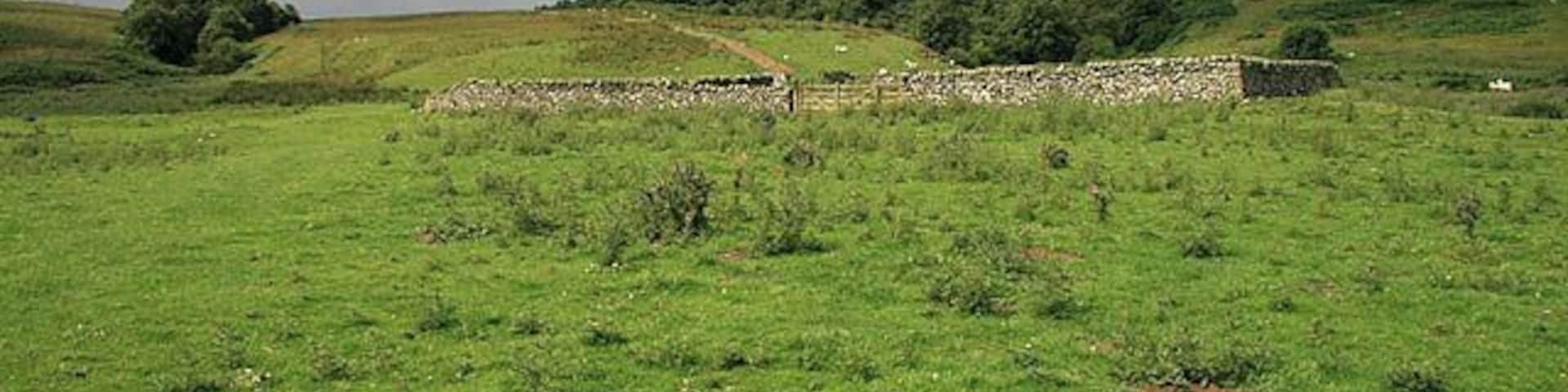 A sheepfold near Hawkshaw Burn Located between Nether Hill and Newhouse Kip by a track from Hawkshaw.