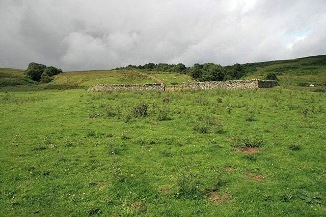 A green field with a stone wall and a cloudy sky.