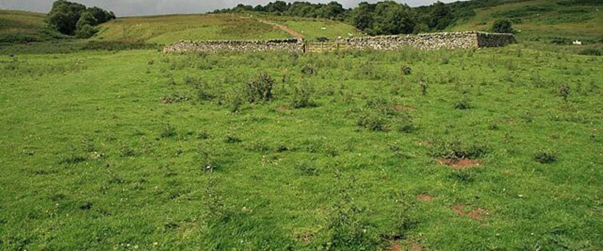 A green field with a stone wall and a cloudy sky.