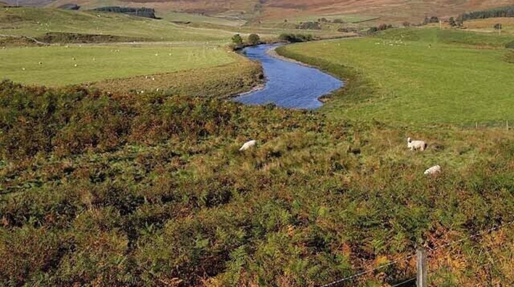 Ettrick Water Looking upstream. The prominent hill to the left on the skyline is Black Knowe Head NT3122.