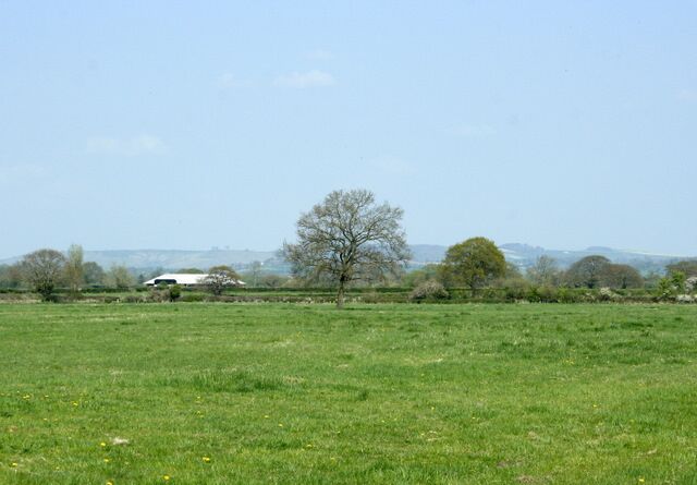 Pasture off New Road On the way to Pudnell House Farm. Three trees on the skyline about one third of the way in from the left indicate the presence of Oliver's Castle SU0064 north of Devizes.