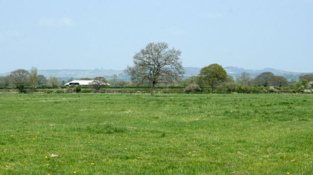 Pasture off New Road On the way to Pudnell House Farm. Three trees on the skyline about one third of the way in from the left indicate the presence of Oliver's Castle SU0064 north of Devizes.