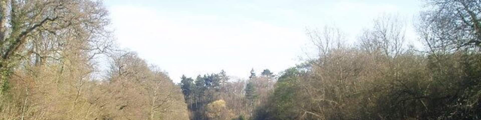 River Dee The view downstream from the weir