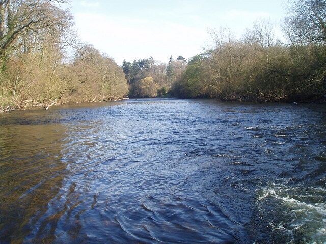 A river flowing through a wooded area with trees on both sides.