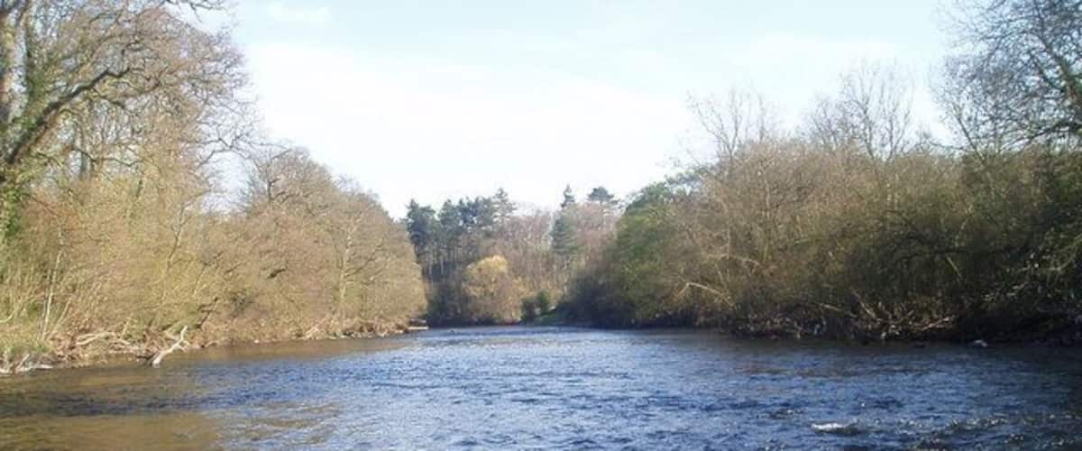 A river flowing through a wooded area with trees on both sides.
