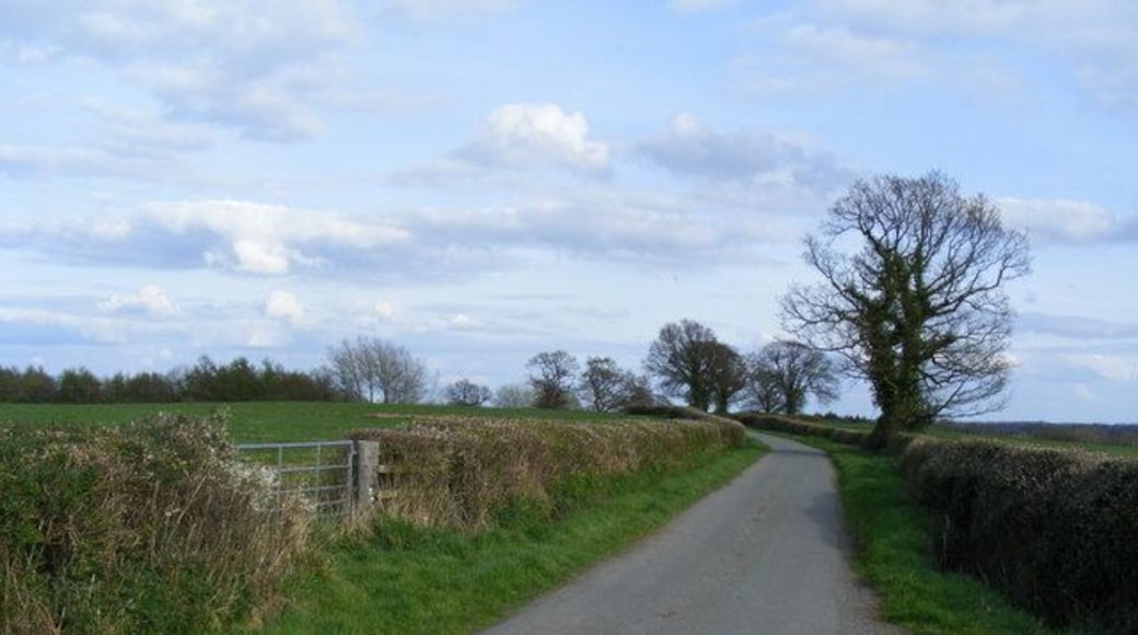 Country Road Near Eribstock