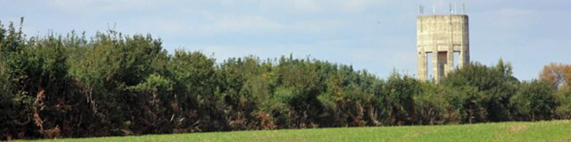 The water tower north of Epworth. As seen with a zoom lens from the church footpath.