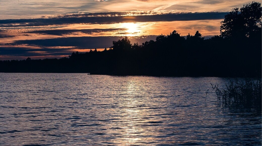 Virginia Water is a Great Lake where there are plenty of family spots for walks and play. Also good for some photography