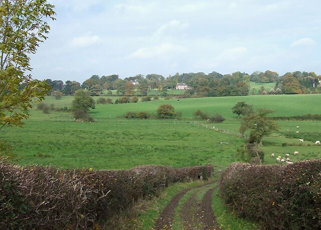 Grazing Land by Endon Brook, Staffordshire The track, which has come across the canal and the disused railway, is a public footpath. Endon Brook is crossed by a small footbridge near the tree in the centre of the picture.