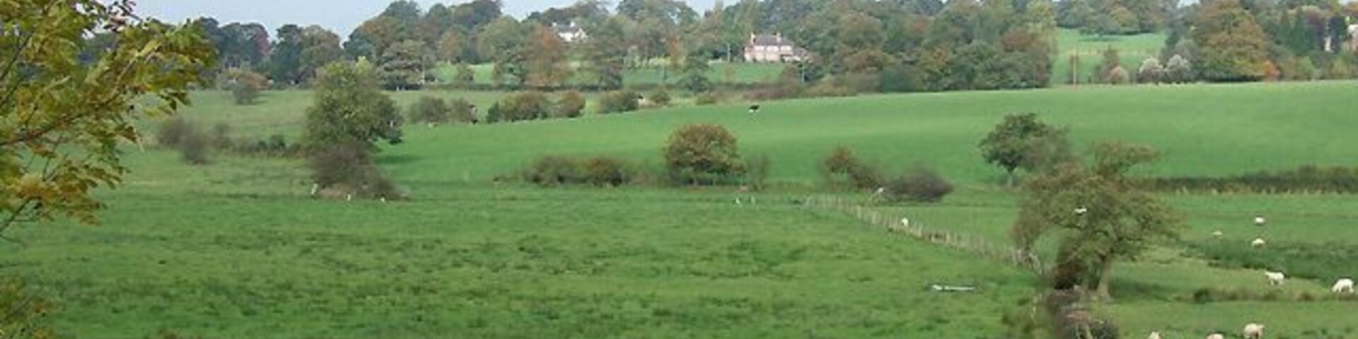 Grazing Land by Endon Brook, Staffordshire The track, which has come across the canal and the disused railway, is a public footpath. Endon Brook is crossed by a small footbridge near the tree in the centre of the picture.