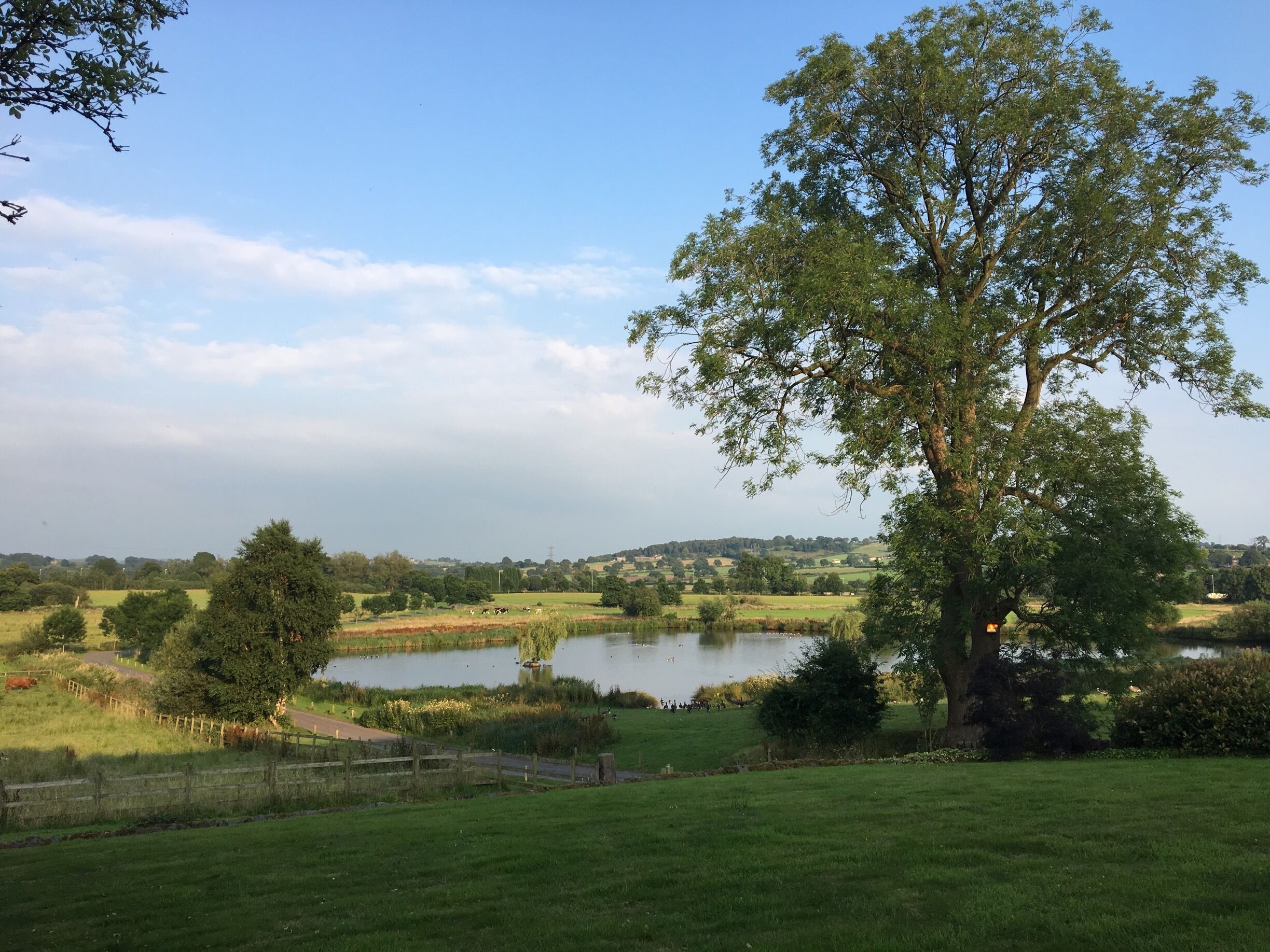 A lake surrounded by trees and grass, with a fence and a path leading to it.