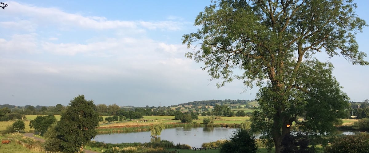 A lake surrounded by trees and grass, with a fence and a path leading to it.