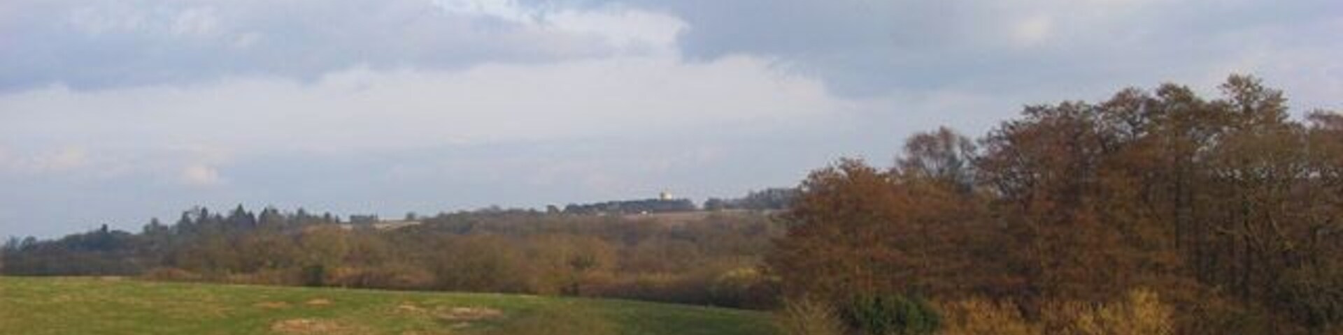 Pastures, Enborne Fields alongside Avery's Pightle with a view towards Wash Common.