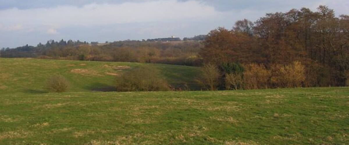 A grassy field with rolling hills and a line of trees in the background.