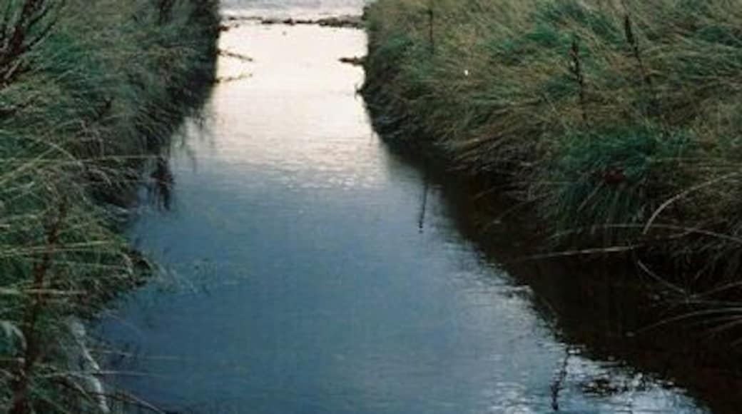 Burn emptying into North Sea, near Embo