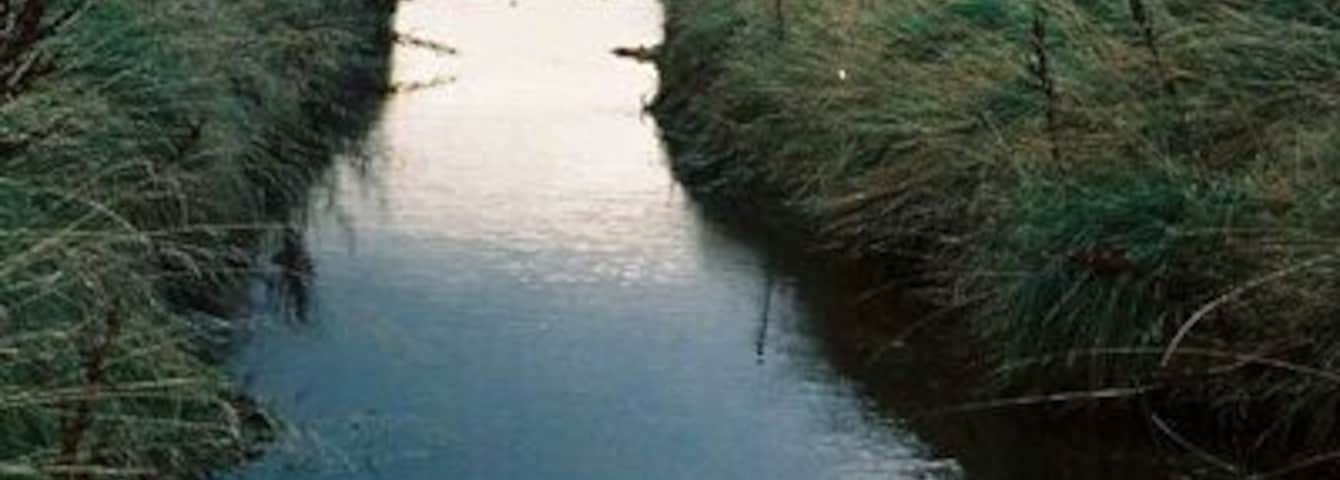 Burn emptying into North Sea, near Embo