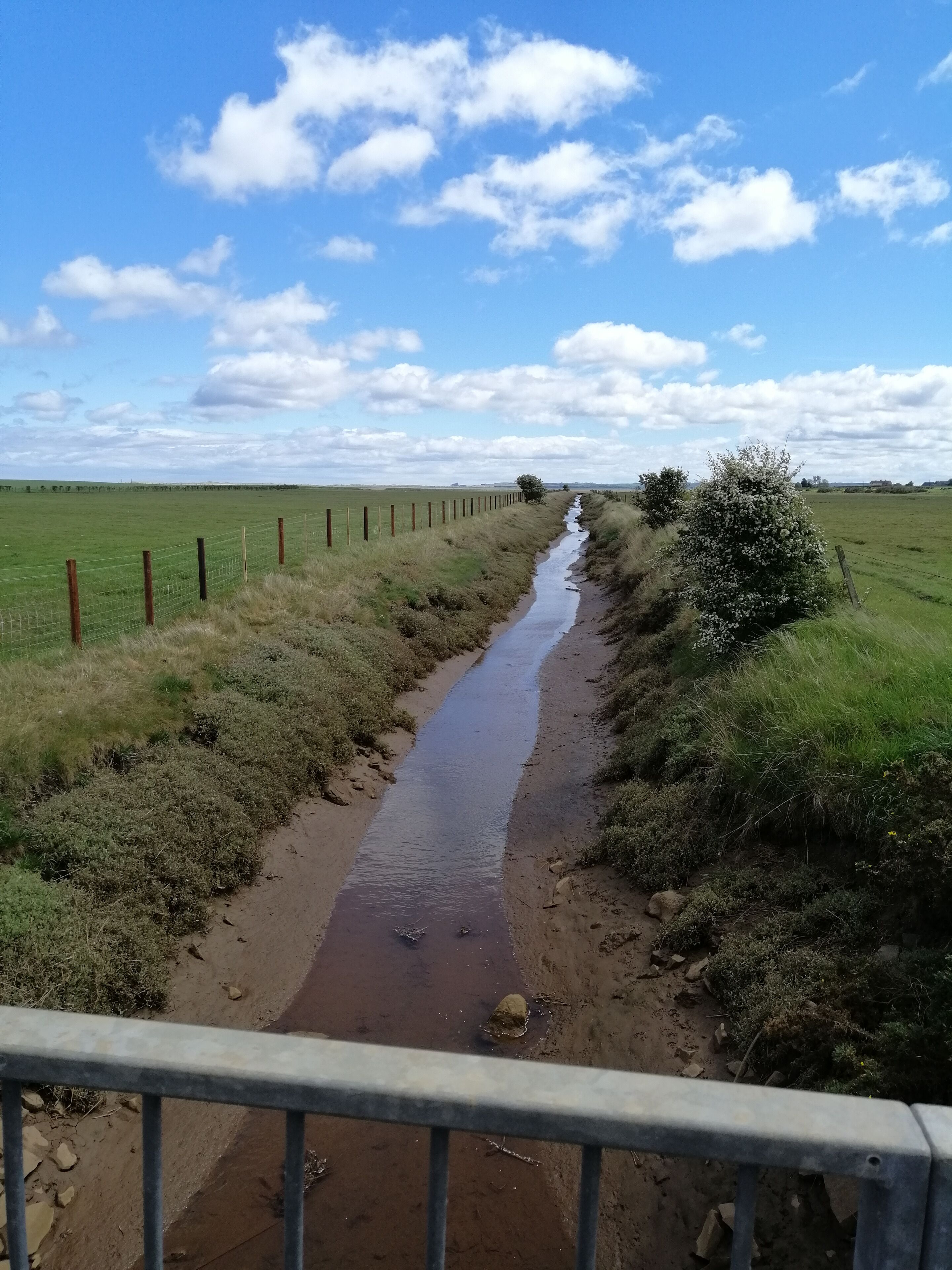 I like the neverending aspect of this photo.