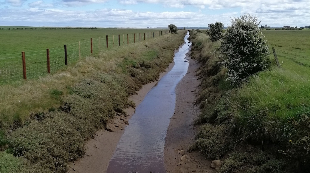 I like the neverending aspect of this photo.