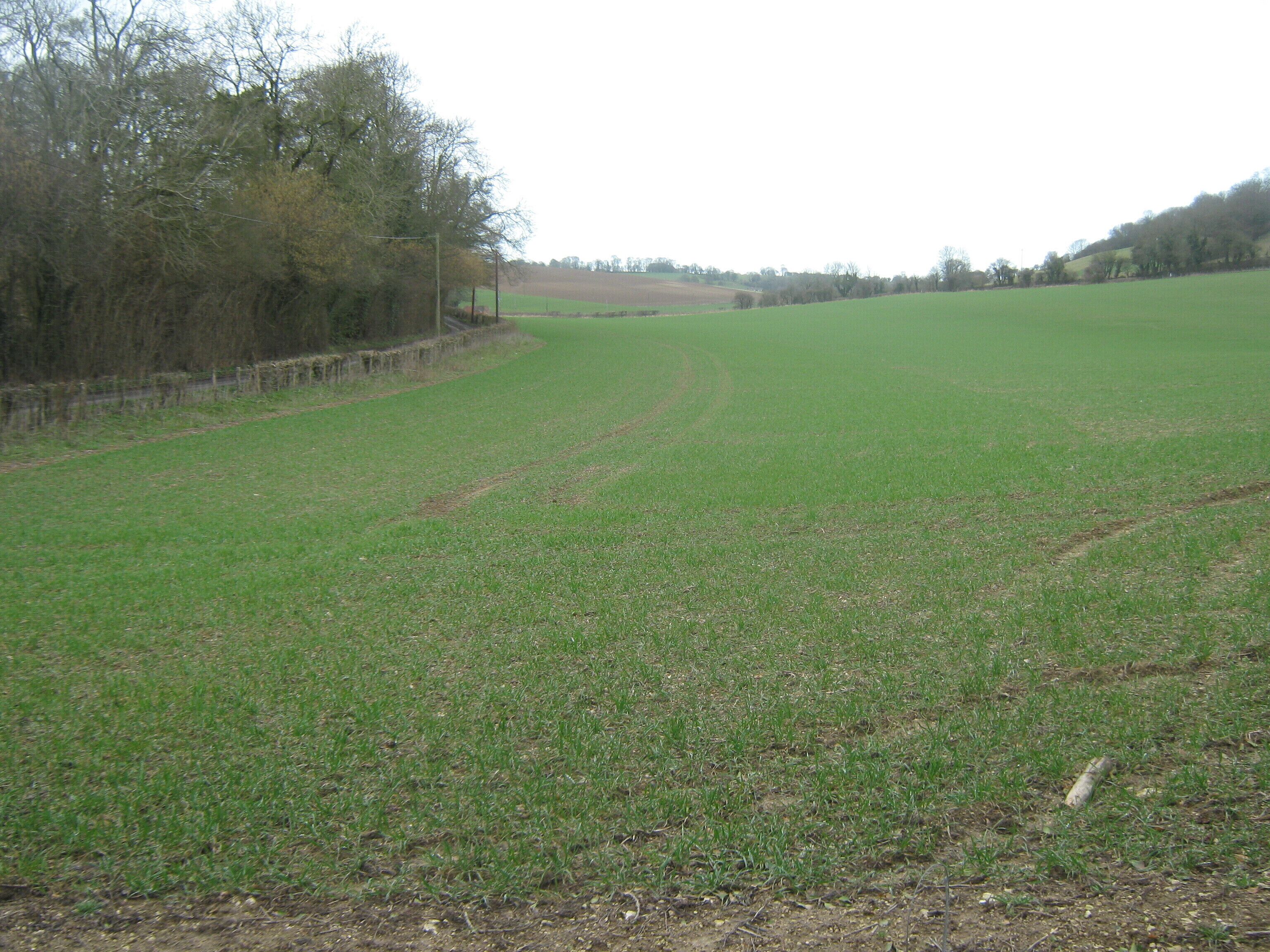 Valley view from byway near Whatsole Street Looking Northwards.