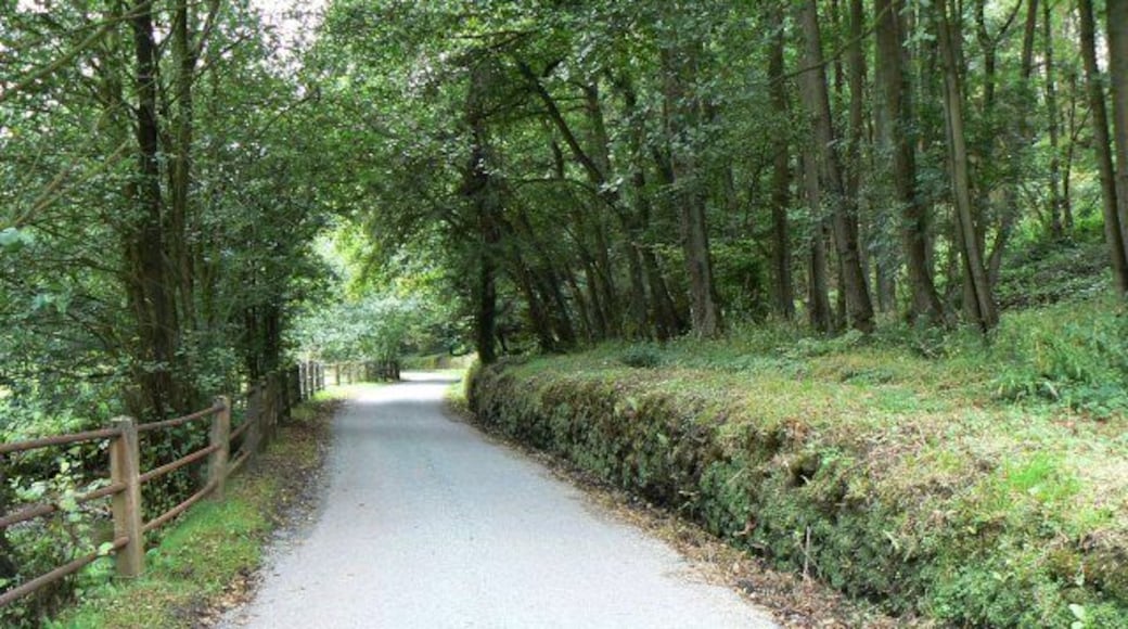 Ousley Lane North of Northwood Farm.