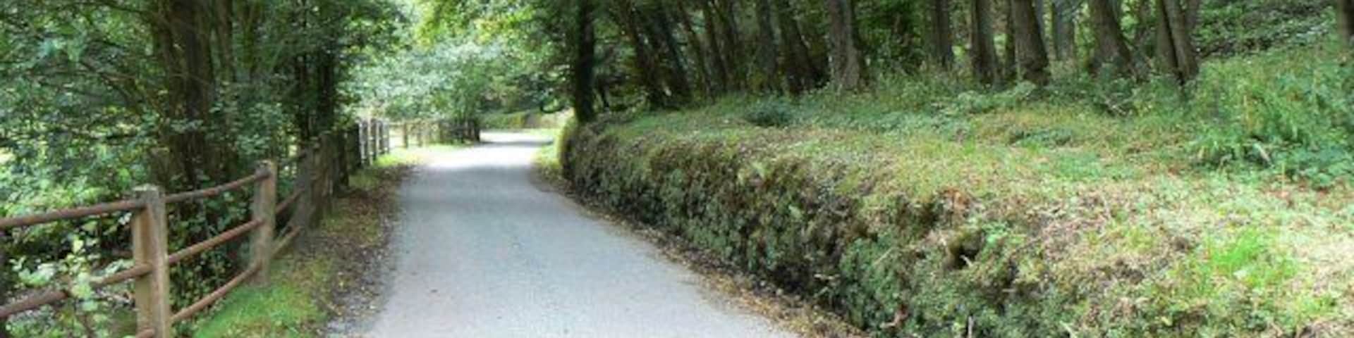 Ousley Lane North of Northwood Farm.