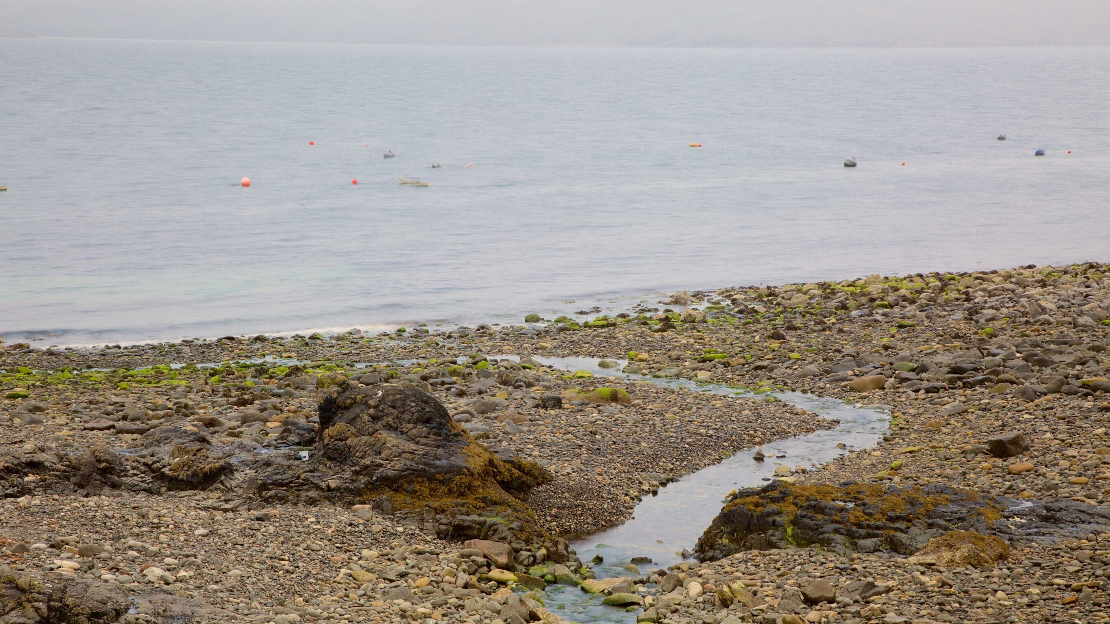 Isle of Skye ofreciendo una playa de guijarros