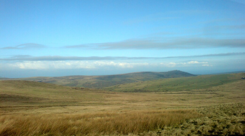 Preseli Hills High moorland on the Preselis. Home to grazing sheep and hardy mountain ponies. There is even mention of the occasional 'big cat'! Yet to be confirmed! Carn Ingli is seen to the right of the picture. It straddles the borough of Newport and the Cwm Gwaun, a steep sided valley formed by glacial meltwaters.
