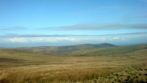 Preseli Hills High moorland on the Preselis. Home to grazing sheep and hardy mountain ponies. There is even mention of the occasional 'big cat'! Yet to be confirmed! Carn Ingli is seen to the right of the picture. It straddles the borough of Newport and the Cwm Gwaun, a steep sided valley formed by glacial meltwaters.