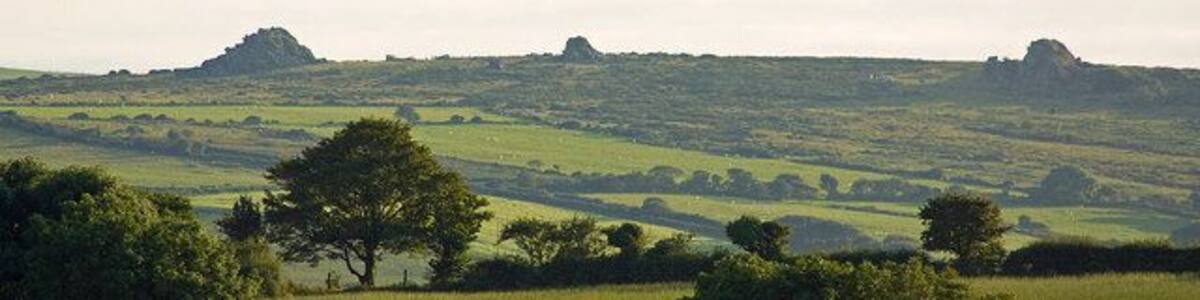 Carnedd Meibion Owen from Eglwyswrw