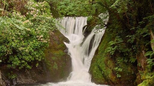 Waterfall at Dyfi Furnace, June 2016