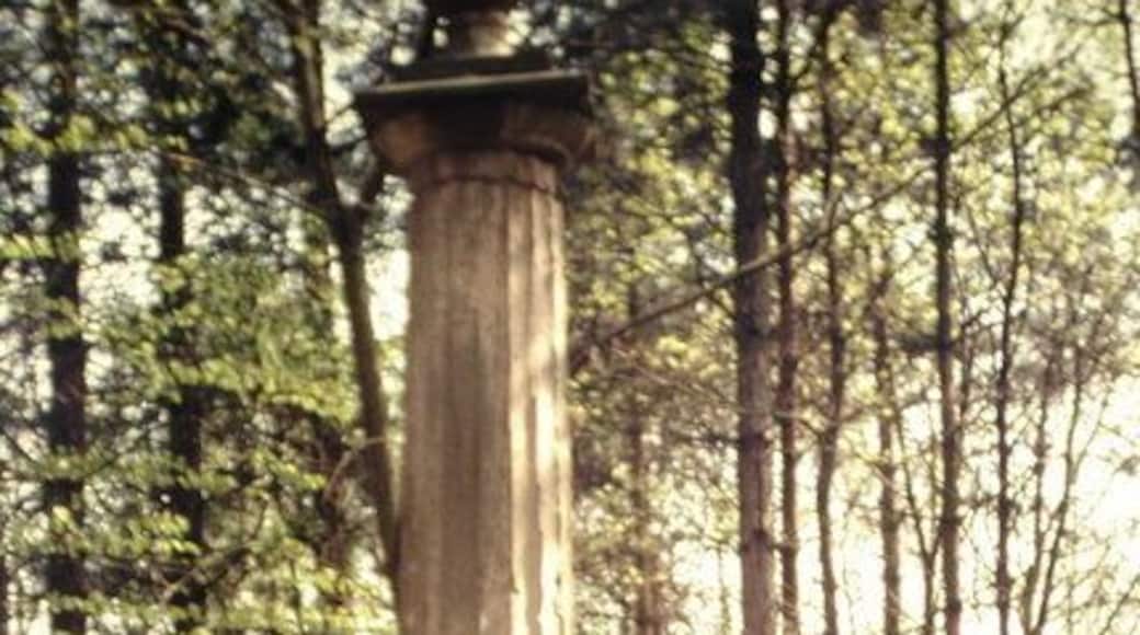 Forest Pillar This pillar originally had a brass plate detailing its origins, this plate has unfortunately now disappeared, as has the stone ball off the top. Its history is now forgotten.