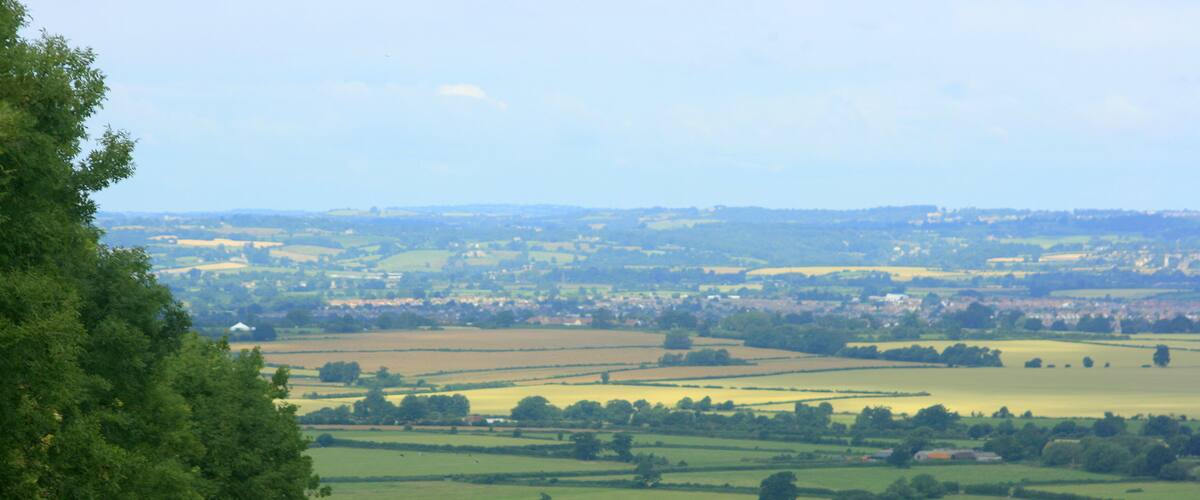 A rural landscape with rolling fields, a distant village, and a prominent tree in the foreground.