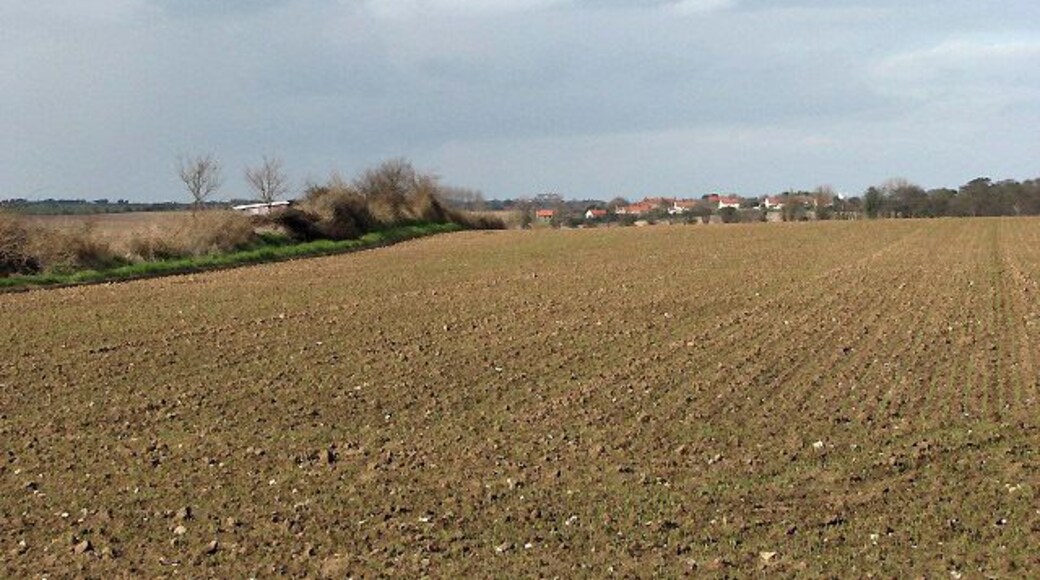 Looking north across fields. From car park of > 720050; houses of Paston Green can be seen in the far distance.