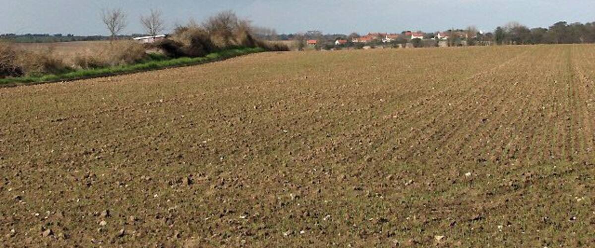 A plowed field with a distant village and cloudy sky.