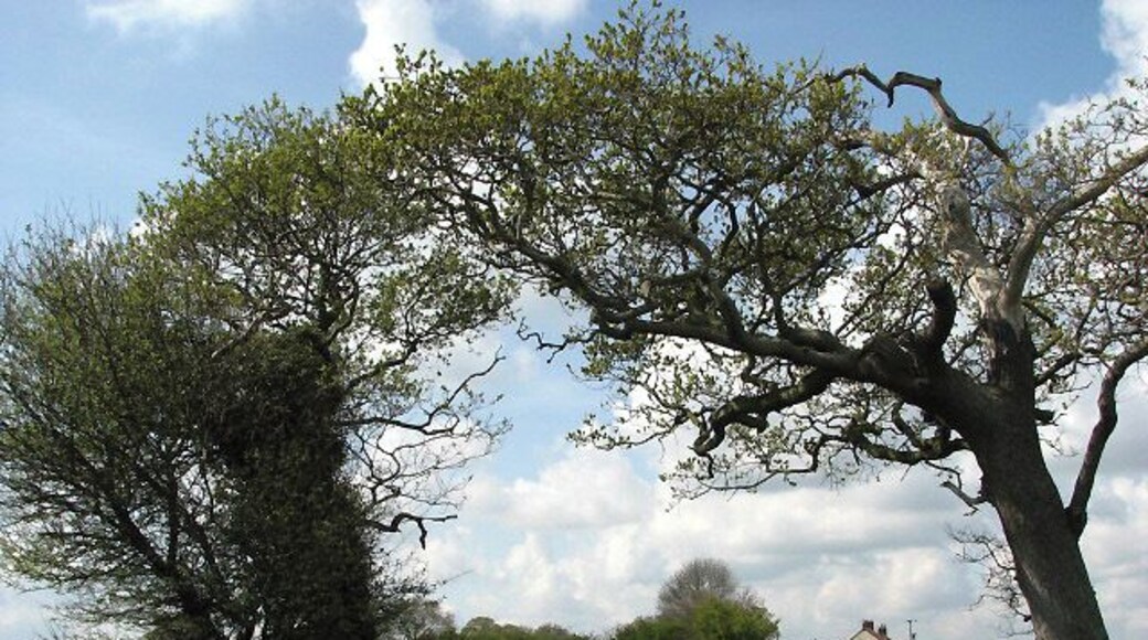 Approaching Edingthorpe from the east
