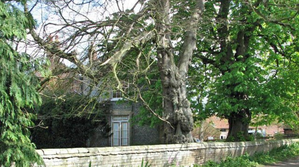 The Old Rectory on Rectory Road