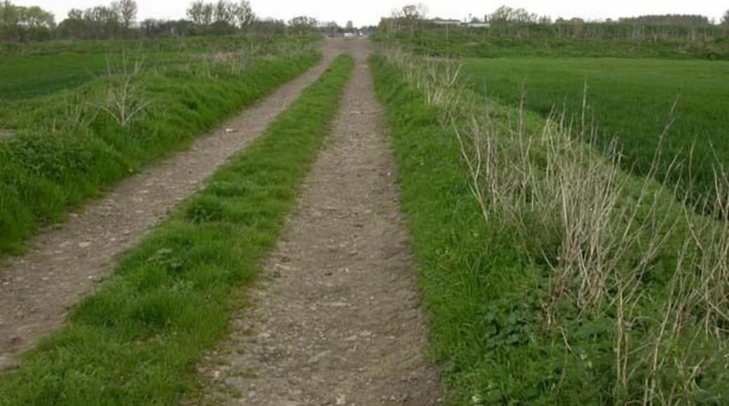 Track to Sewage Works. Another track crosses at right angles on the small rise ahead. Some vehicles and buildings connected with the sewage works can be seen behind it.
