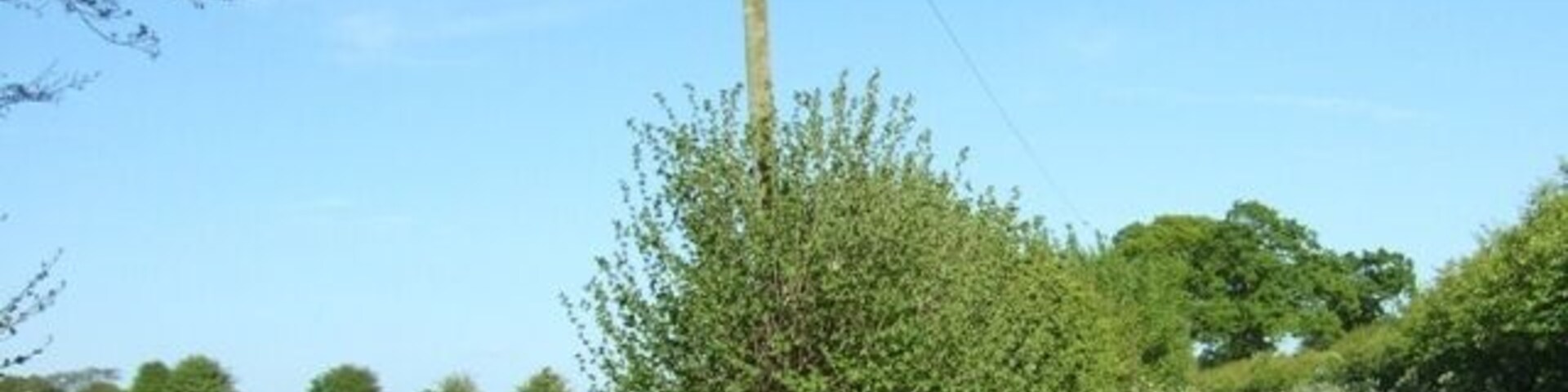 Sytch Lane The narrow lane runs from Slindon to Millmeece.